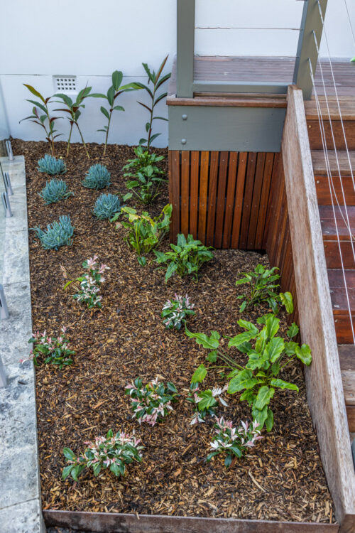 Greenstone Home and Gardens Landscaping Collaroy Plateau R6__6337