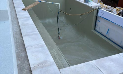 Greenstone Home and Gardens Landscaping Pool Design Construction Collaroy During Anzac pool PHOTO-2025-07-11-16-44-17