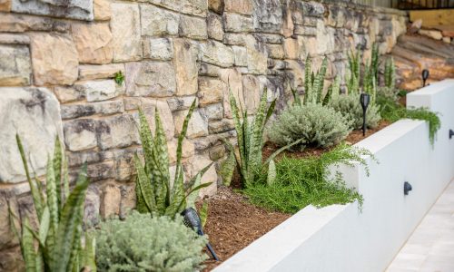 Greenstone Home and Gardens Landscaping Pool Design Construction Collaroy R6_30124