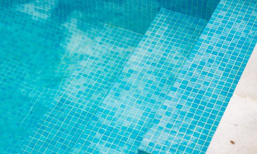 Greenstone Home and Gardens Landscaping Pool Design Construction Collaroy R6_30129