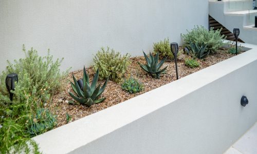 Greenstone Home and Gardens Landscaping Pool Design Construction Collaroy R6_30141