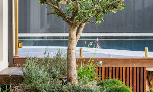 Greenstone Home and Gardens Landscaping Pool Design Construction F G R6_30226