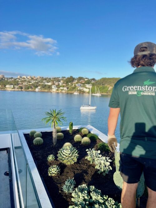 Greenstone Home and Gardens Landscaping Pool Design Construction Clontarf C IMG_3712